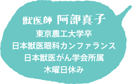 獣医師 阿部真子
