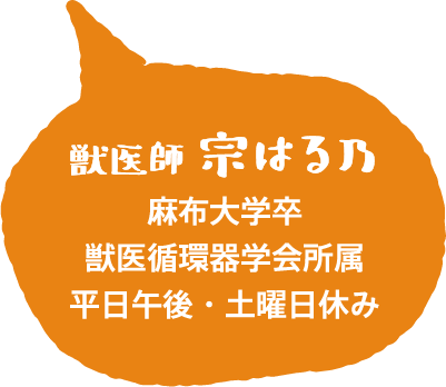 獣医師 宗はる乃