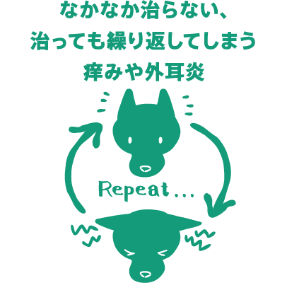 なかなか治らない、治っても繰り返してしまう、という印象をもつ方も多いのではないでしょうか。治っても繰り返してしまう痒みや外耳炎